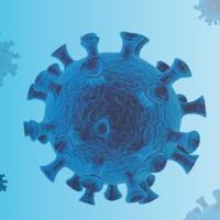 假病毒中和抗体检测服务