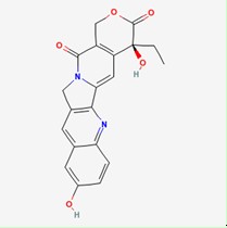 10-羟基喜树碱对照品/标准品 10-Hydroxy cam