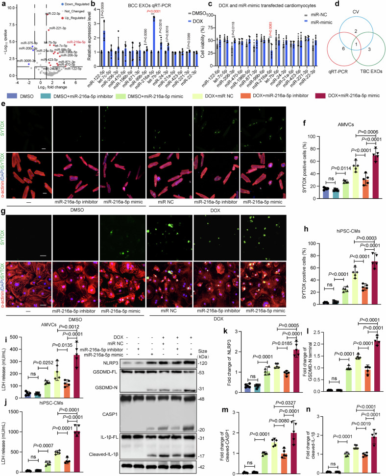 外泌体检测 外泌体检测