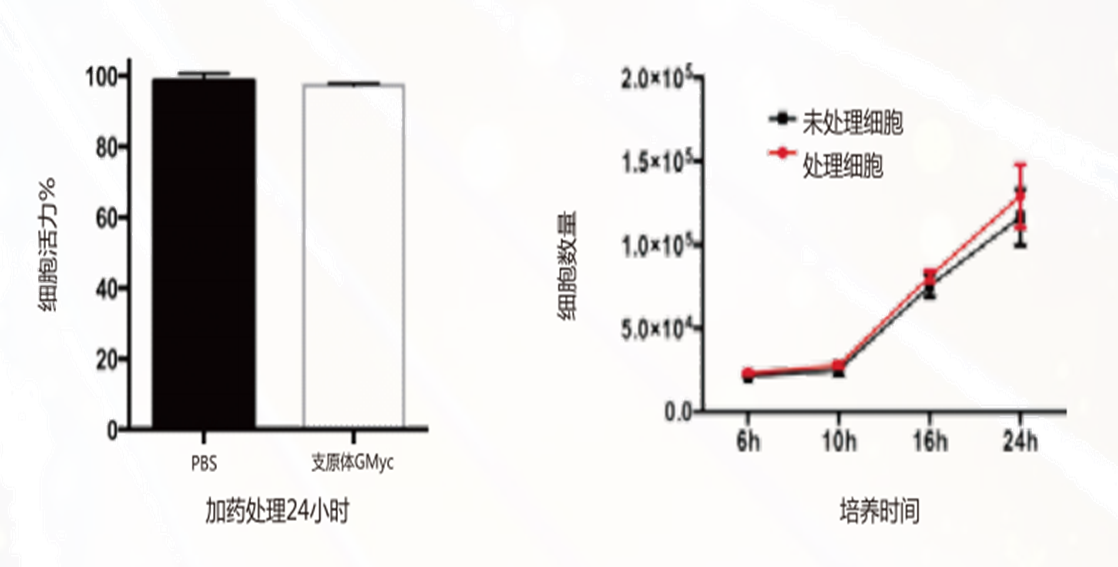 支原体污染：实验室的隐形威胁与翌圣生物的全方位解决方案
