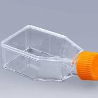 25cm75cm 175多聚赖氨酸包被密封盖培养瓶