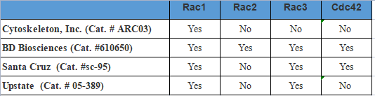 限时促销!Cytoskeleton明星产品直降15%,助您科研加速!