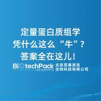 定量蛋白质组学凭什么这么“牛”？答案全在这儿！