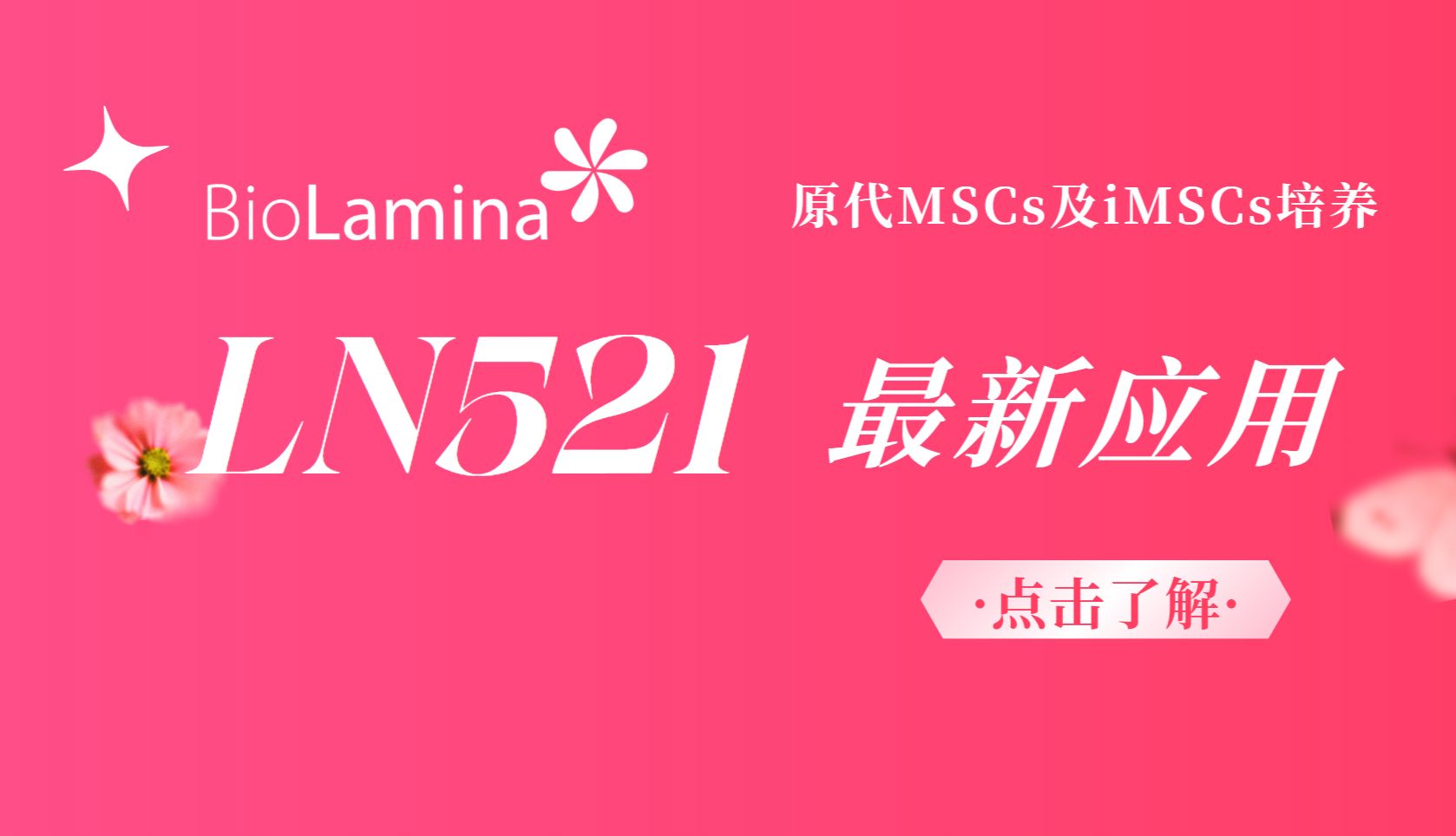 应用解读 | 支持原代MSCss及iMSCs培养的包被521