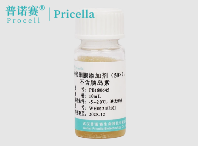 B-27神经细胞添加剂（50×）不含胰岛素配方解析：无血清培养下神经元存活率提升机制