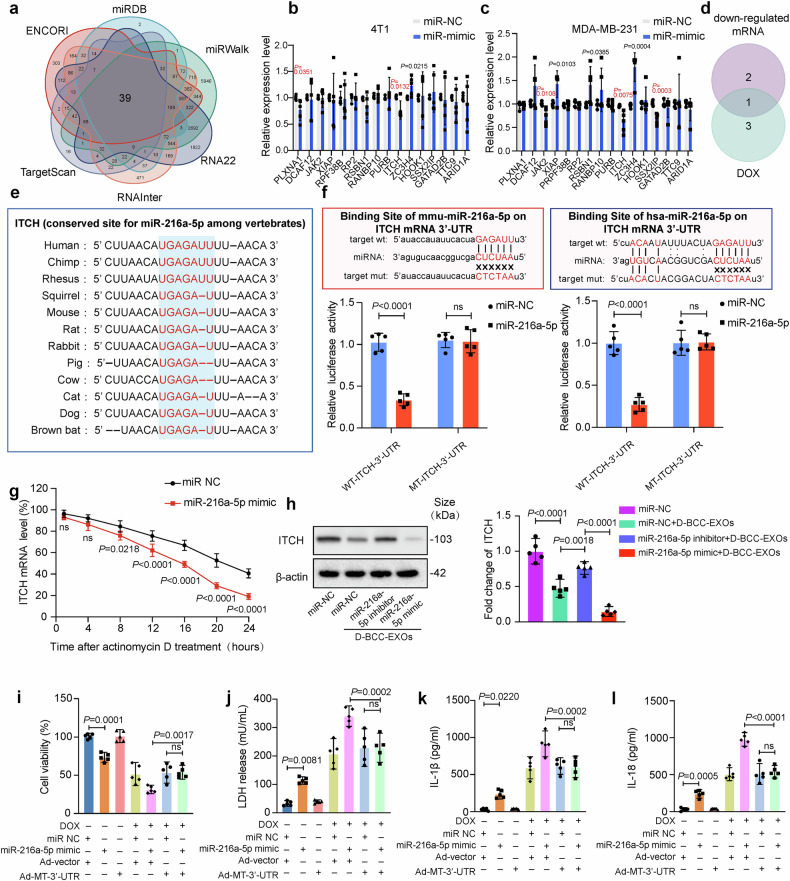 外泌体技术服务 外泌体技术服务