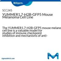 YUMMER1.7-H2B-GFP5