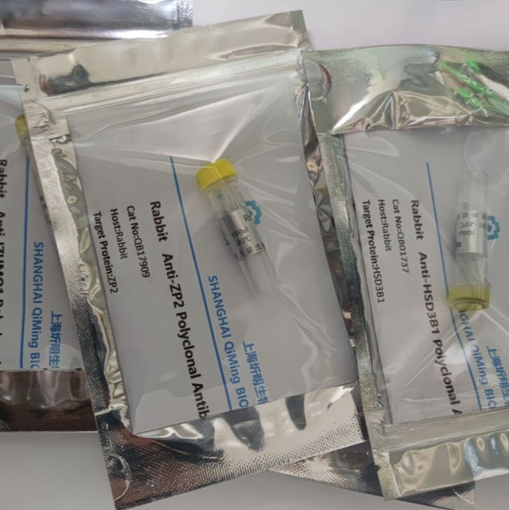 血管内皮生长因子A(VEGFA)真核蛋白,大鼠