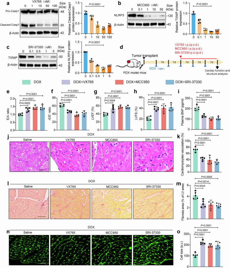 外泌体技术服务 外泌体技术服务