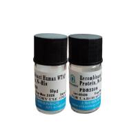 白介素2(IL2)真核蛋白,小鼠