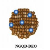 负载顺铂的石墨烯量子点被scFv抗体修饰 CDDP@GQDs-scFv