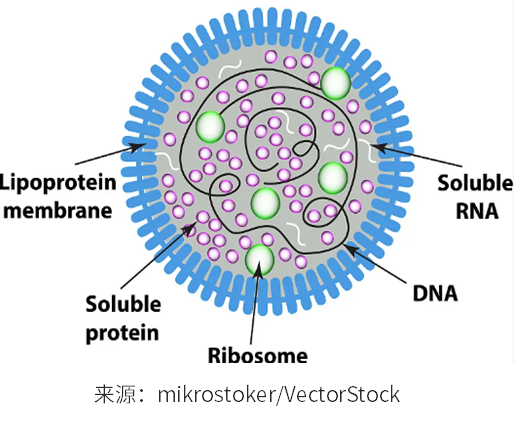 支原体污染：实验室的隐形威胁与翌圣生物的全方位解决方案