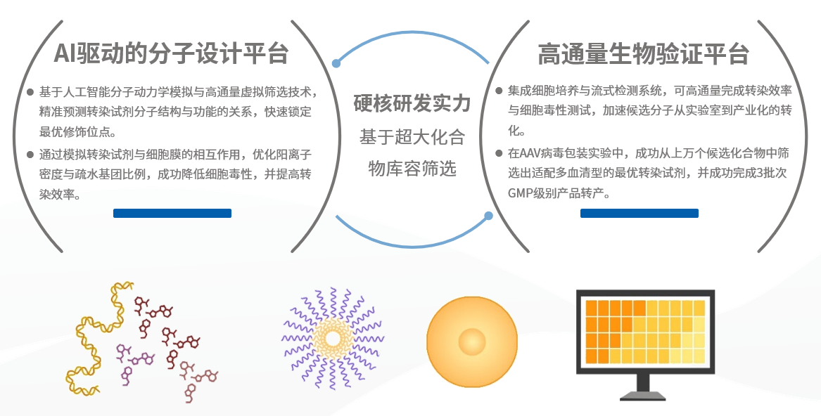 AAV实心率飙升200%！Hieff Trans新型基因递送系统，让病毒产能‘质变’突围