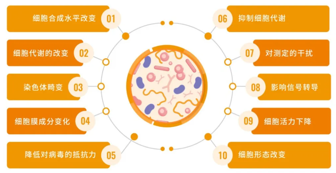 支原体污染：实验室的隐形威胁与翌圣生物的全方位解决方案