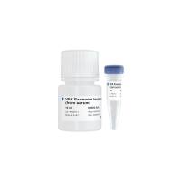 血清外泌体提取试剂 VEX Exosome Isolation Reagent