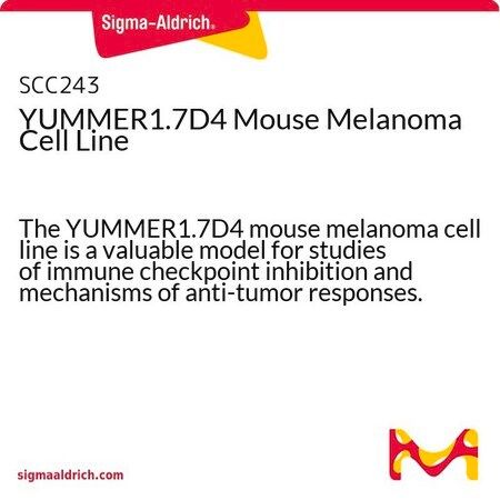 默克Merck YUMMER1.7D4 Mouse Melanoma Cell Line