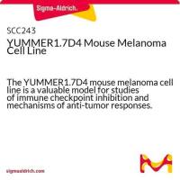 默克Merck YUMMER1.7D4 Mouse Melanoma Cell Line