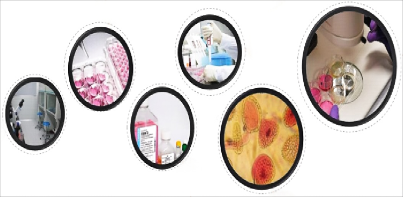 支原体污染：实验室的隐形威胁与翌圣生物的全方位解决方案