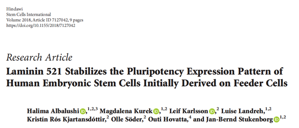 BioLamina LN111-LN521/MX521/CT