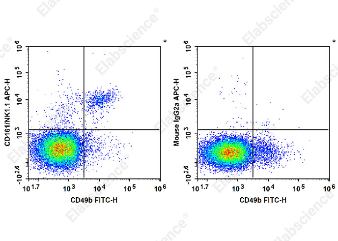 Elabscience APC抗小鼠CD161/NK1.1抗体[PK136]，开启小鼠免疫研究新视野！
