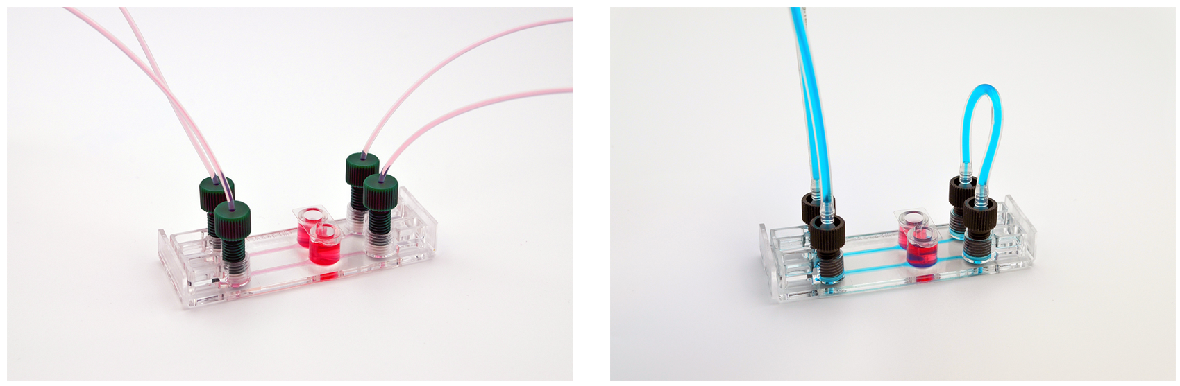 新款Be-Transflow有两个圆形可并联的培养腔室