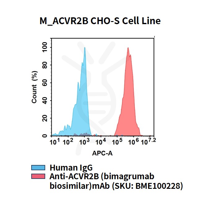 cel100095-m-acvr2b-cho-s-cell-line-flow.jpg