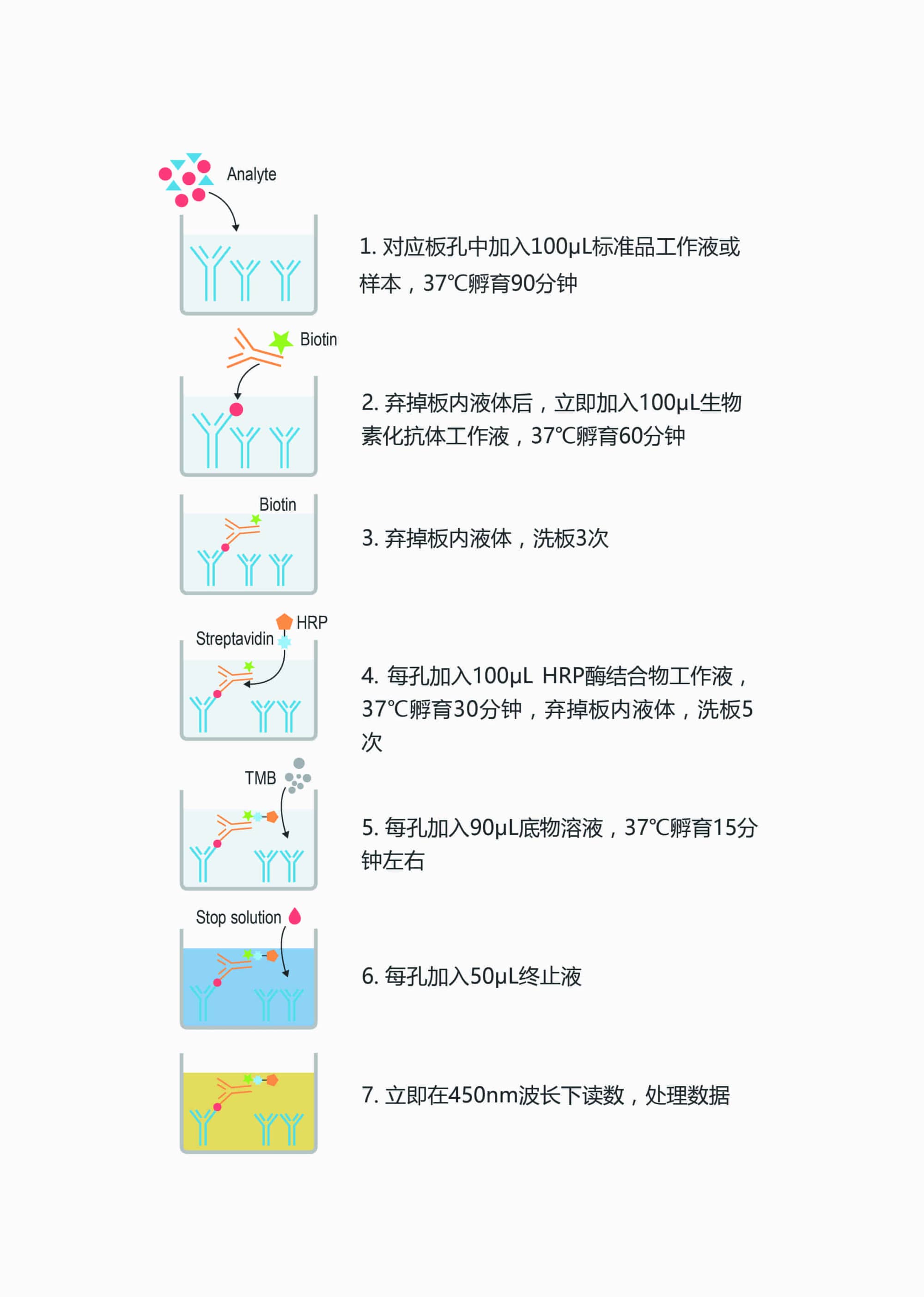 Elabscience-微量法人免疫球蛋白E（IgE）酶联免