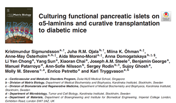 BioLamina LN111-LN521/MX521/CT