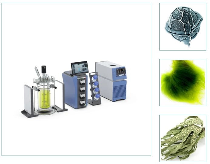 IKA HABITAT：微藻培养的“智能管家”