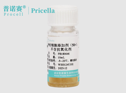 实验室必备！B-27神经细胞添加剂（50×）无抗氧化剂版实现高纯度神经元培养