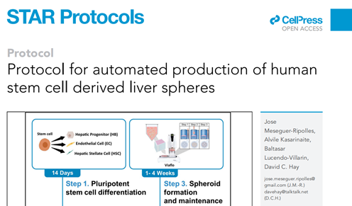 BioLamina LN111-LN521/MX521/CT