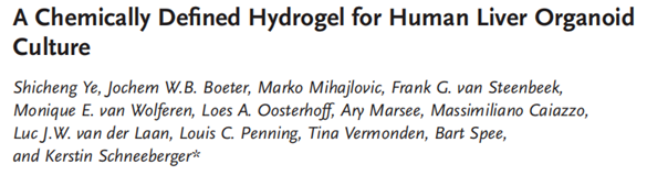 BioLamina LN111-LN521/MX521/CT