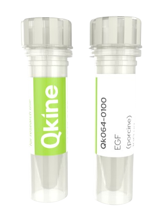 iPSC细胞因子和生长因子