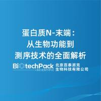 蛋白质N-末端:从生物功能到测序技术的全面解析