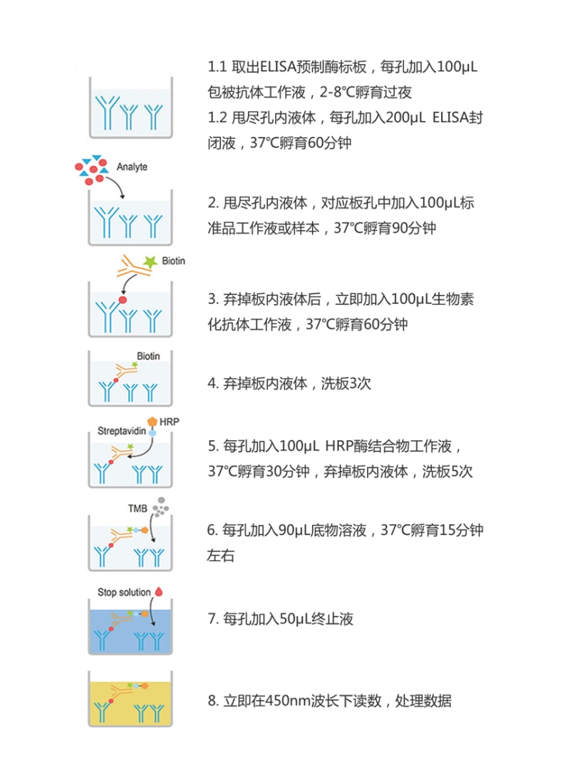 Elabscience-未包被人血管内皮生长因子受体3(VE
