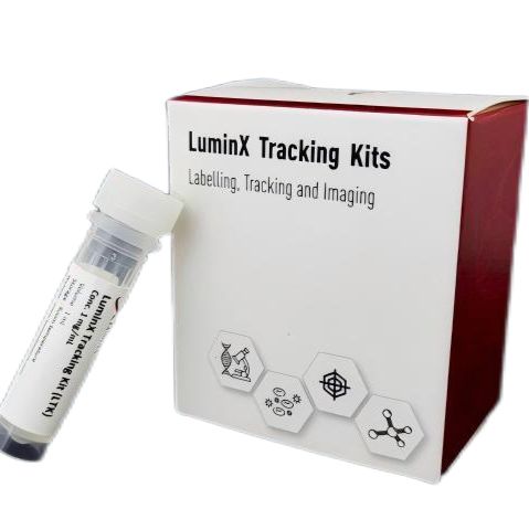 iPSC Tracking Kit/诱导多功能干细胞示踪试剂盒