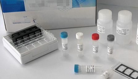 免疫组化染色过程中存在的问题、原因分析及其对策