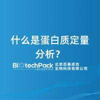 什么是蛋白质定量分析？