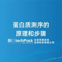 蛋白质测序的原理和步骤