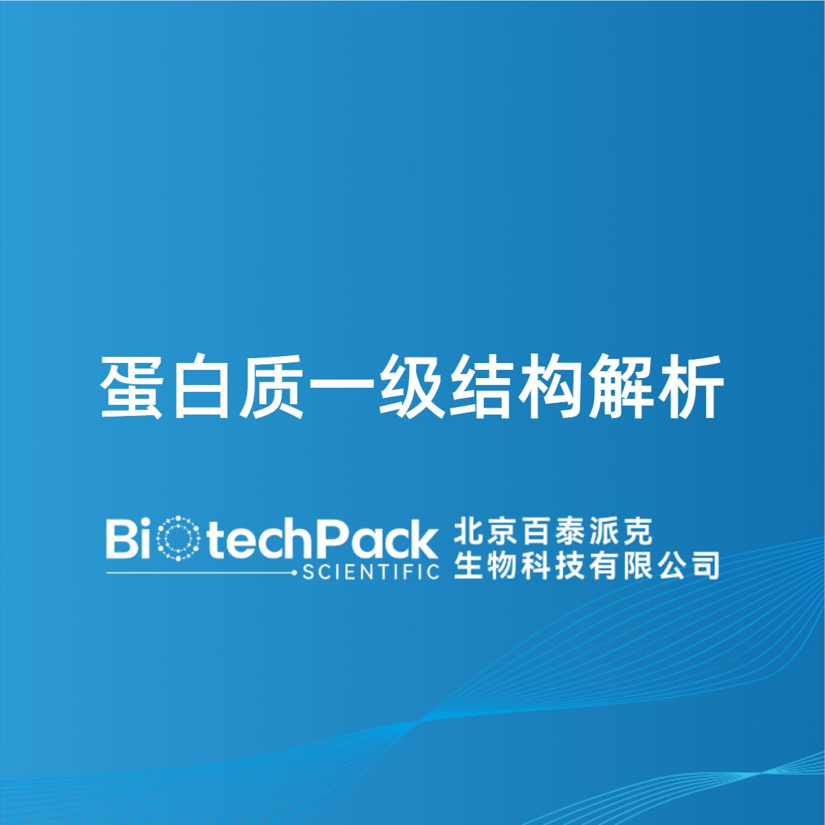 蛋白质一级结构解析