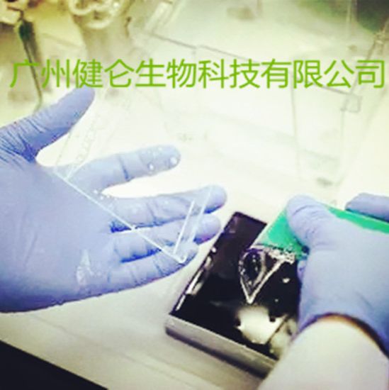 Q热病IgG抗体免疫荧光玻片检测试剂盒(IFA法)