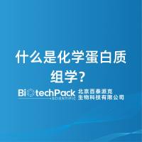 什么是化学蛋白质组学？