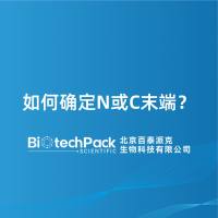 如何确定N或C末端？