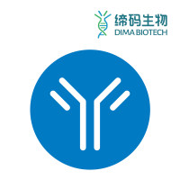 GPRC5D流式抗体/Anti-GPRC5D antibody(DM91); Rabbit mAb