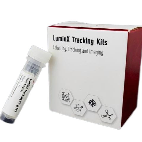 T CELL、NK CELL、IMMUNE CELL Tracking Kit/T细胞、NK细胞、免疫细胞示踪试剂盒