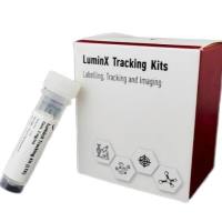 T CELL、NK CELL、IMMUNE CELL Tracking Kit/T细胞、NK