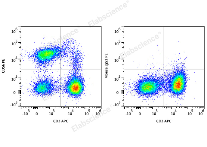 Elabscience PE Anti-Human CD56/NCAM抗体[5.1H11]-助力免疫细胞研究新突破