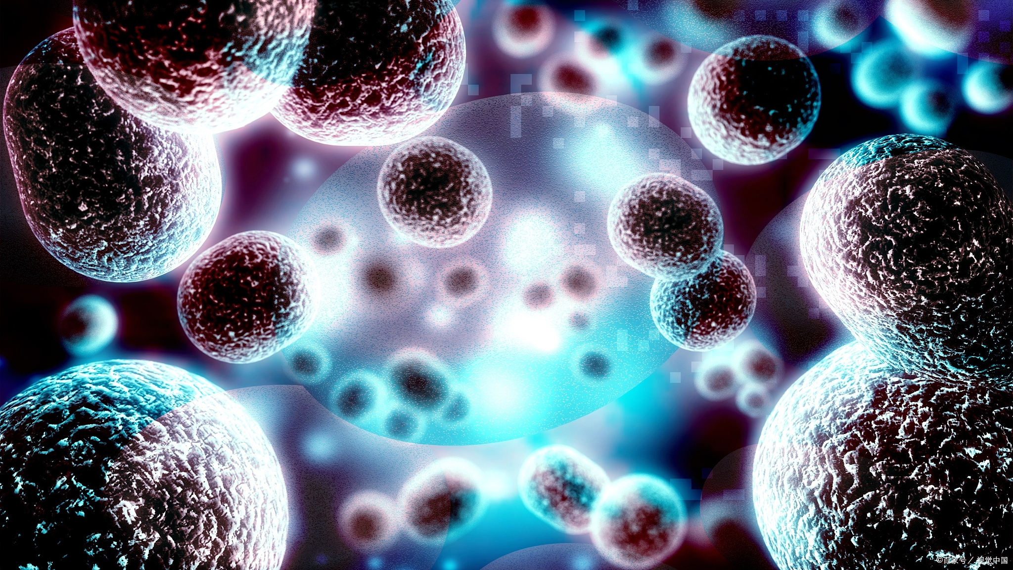 哺乳动物细胞重组蛋白表达：从培养到纯化的全流程优化策略