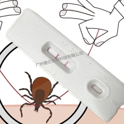 蜱虫病快速检测试剂盒 急性虫媒传染病快检卡