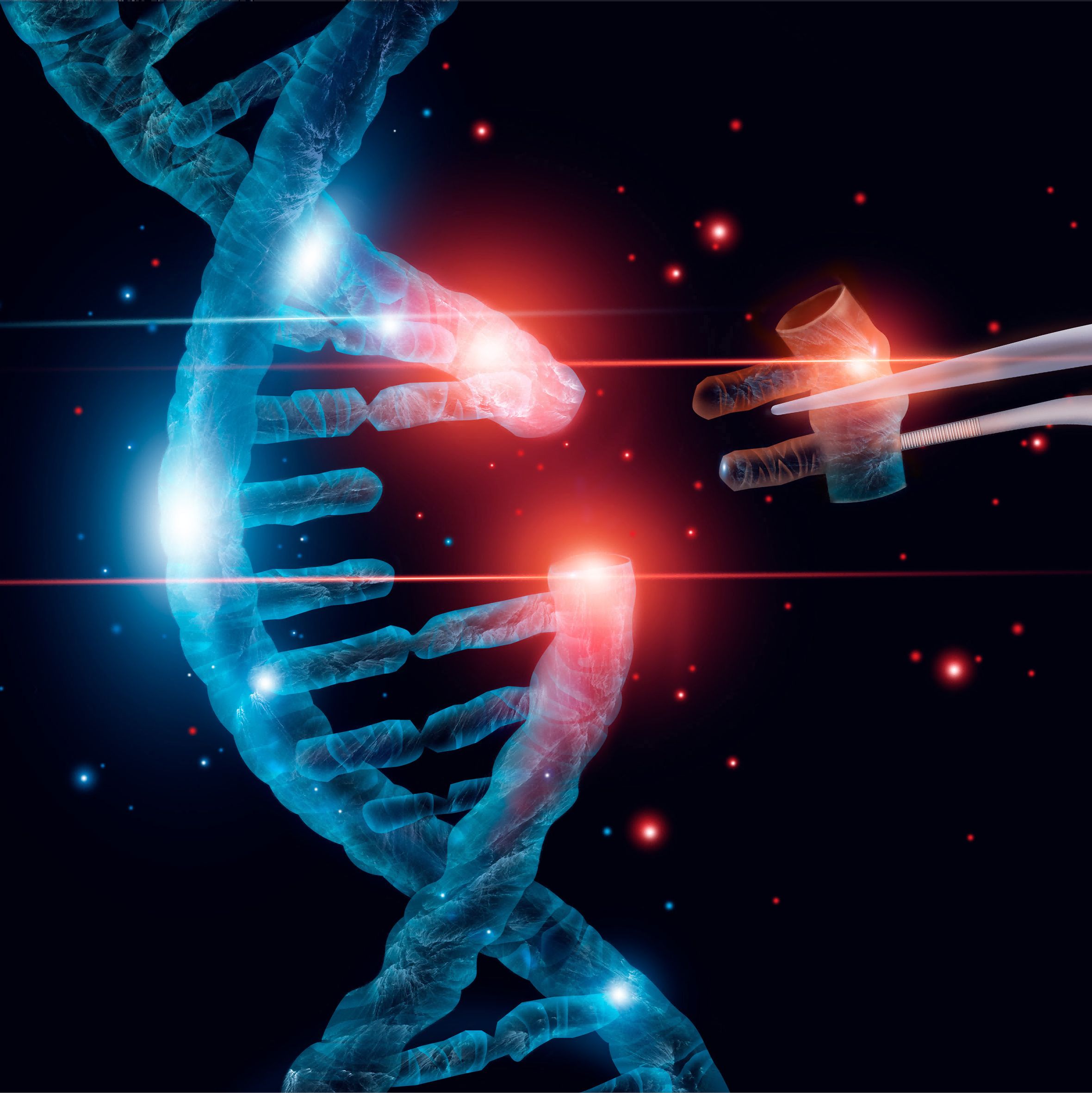 基因编辑一站式服务